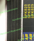 Ремень ручейковый "Goodyear" 5PK825